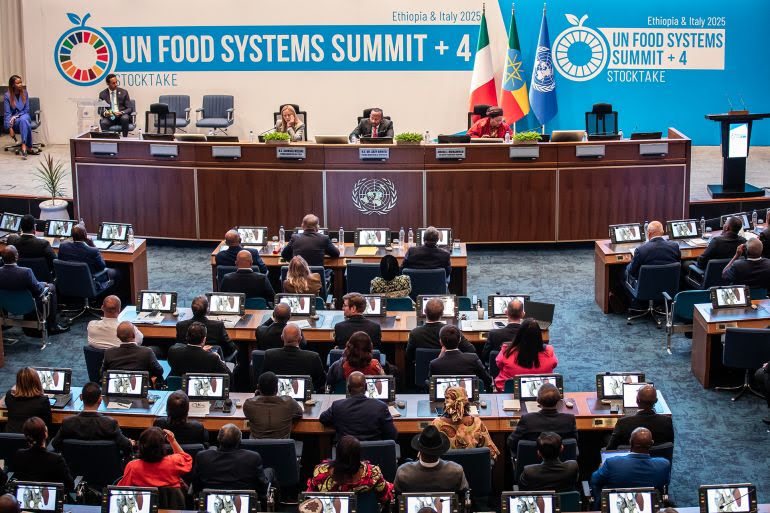 Hunger at the Center of Discussion at the UN Food Systems Summit in ...